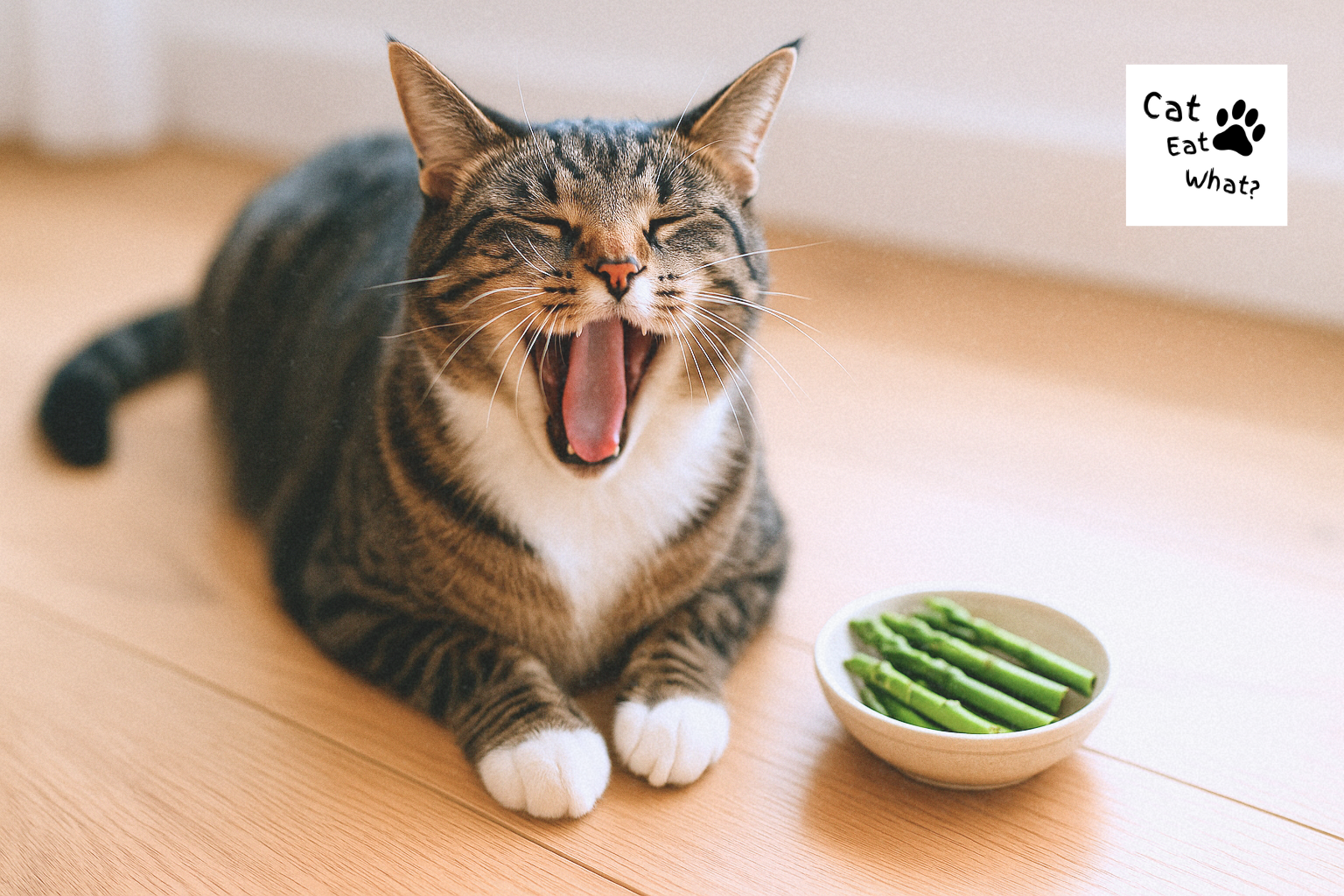 Can cats eat asparagus?Tabby cat Osmo yawning beside a bowl of asparagus on a hardwood floor, in soft natural lighting.