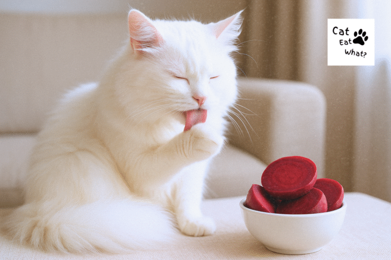 can cat eat beetroot? White long-haired cat licking paw next to bowl of sliced beetroot on beige surface in natural indoor lighting (Safka).