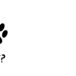 cateatwhat.com logo