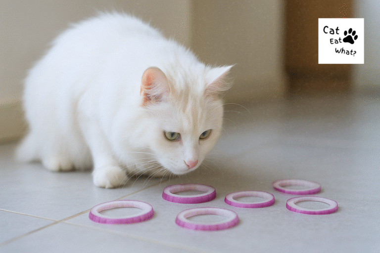 Can Cats Eat Onions? Safka the white cat sniffing red onion rings on a tiled kitchen floor in natural light, 16:9 format.